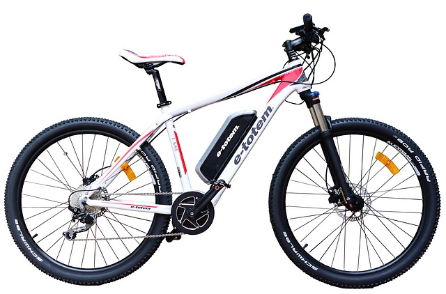 WARUM EIN ELEKTROFAHRRAD WÄHLEN?
