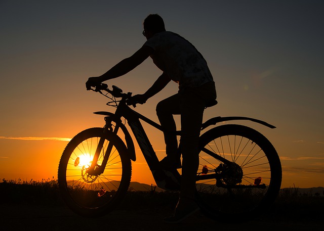 WAS MACHT EIN ELEKTROFAHRRAD EINZIGARTIG?