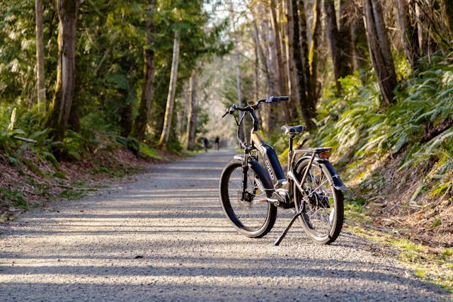 DYU E-Bikes im Test