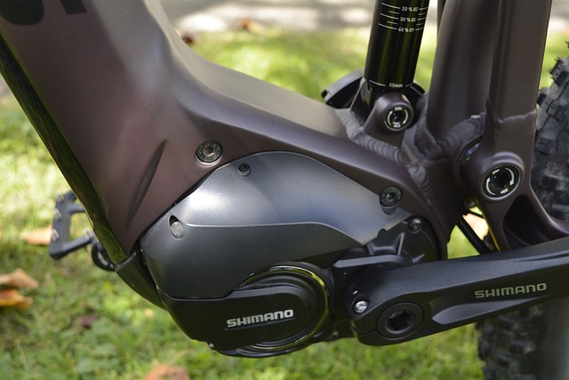 E-Bike als Lastenfahrrad − Für wen lohnt sich die Investition?