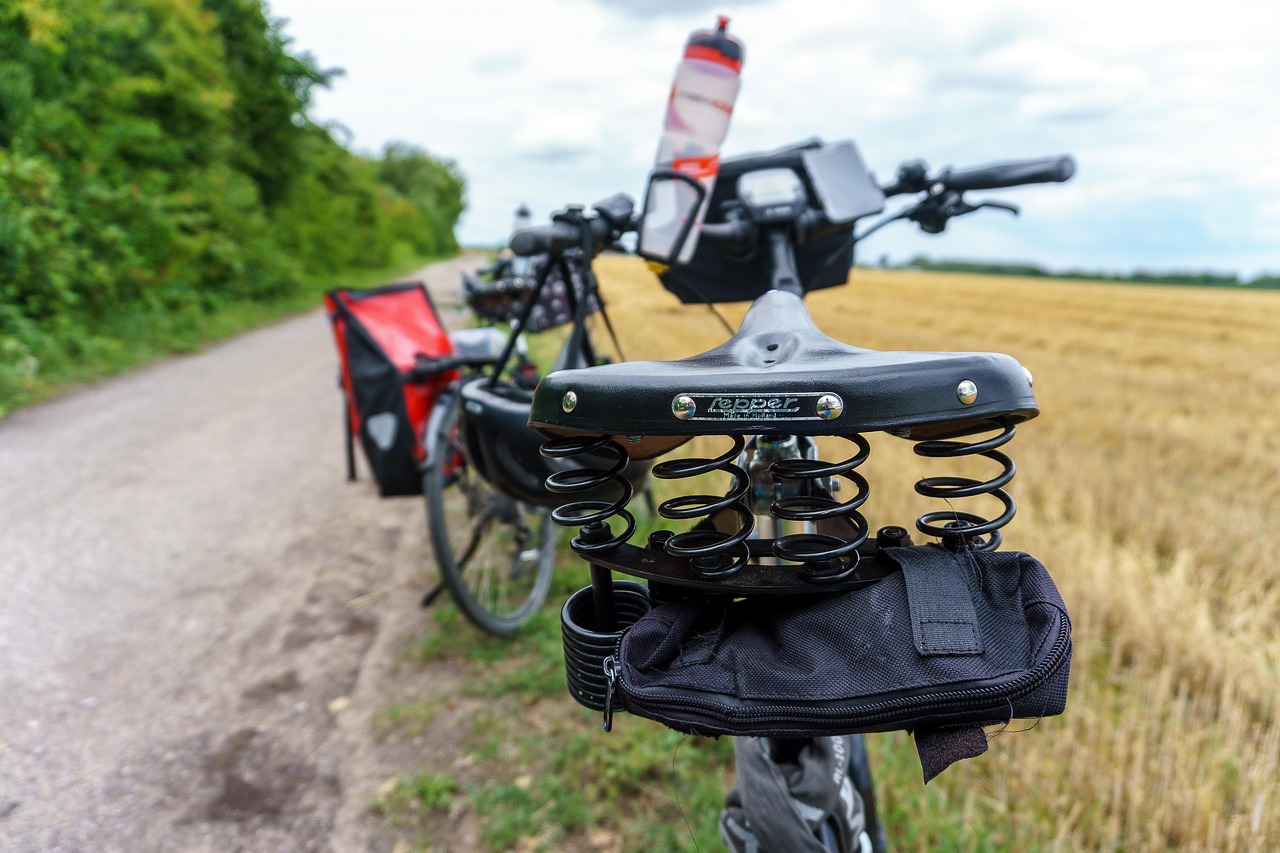 bike tour, bicycle, nature, wheel, to go biking, cycles, cycling tour, leisure time, trip, path
